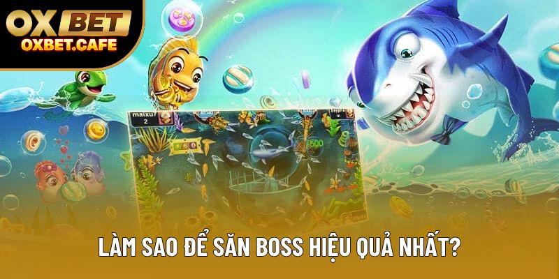 Làm sao để săn boss hiệu quả nhất? Làm sao để săn boss hiệu quả nhất?