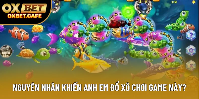 Nguyên nhân khiến anh em đổ xô chơi game này? Nguyên nhân khiến anh em đổ xô chơi game này?